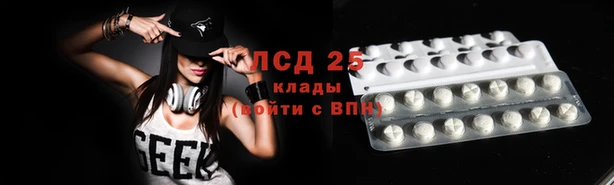 стафф Алексин