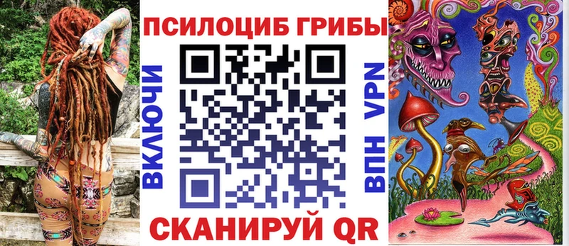 продажа наркотиков Менделеевск Псилоцибиновые грибы Cubensis