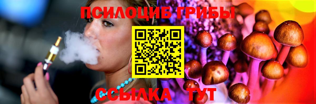 Псилоцибиновые грибы Psilocybine cubensis Менделеевск