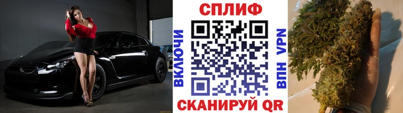 Каннабис ГИДРОПОН  где найти наркотики  Менделеевск 